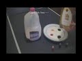 Trippy Milk