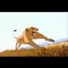 Blood Gultch Blues (Lion King)
