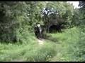 Kandalama Elephant ride
