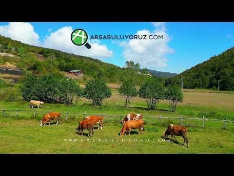 Burası İsviçre Değil İznik Kutluca Köyü !!