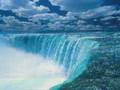 Save Our Earth