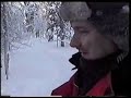 Reindeer Sleigh Ride in Lapland Reindeer Sleigh Ride in Lapland