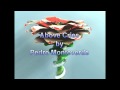 Pedro Monteverde - Above Cries
