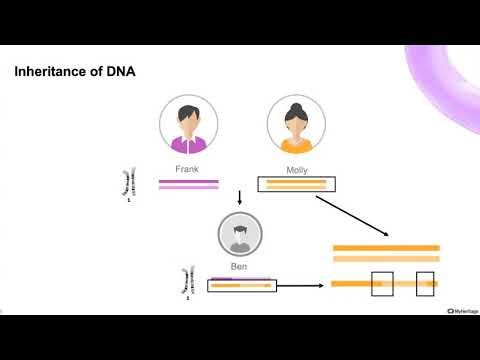 video-linktoworks-Working with DNA segments on MyHeritage