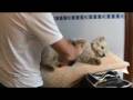 videos de Buddy, sesión de stripping
