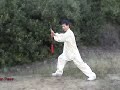 taiji: traditional yang tai chi sword