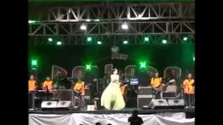 Akhir Sebuah Cerita  Elsa Safira  New Pallapa  Tasik Agung Rembang