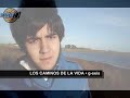 Los caminos de la vida //  VICENTICO _____g-seis