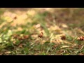 RS/HB - The North Face Single-Track Hayasa - Manufacturer