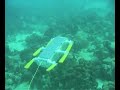 AQUA - a swimming/walking robot