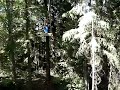 Zip Line at WildPlay, Nanaimo B.C. Canada Zip Line at WildPlay, Nanaimo B.C. Canada