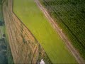 golden-plane.html