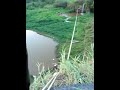 Tirolesa Sabauna - Mogi das Cruzes