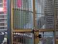 Our African Grey