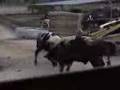 videos de 06-10-08_0810.3gp