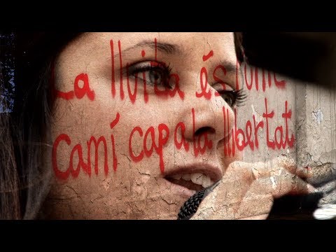 Imagen de previsualización de YouTube