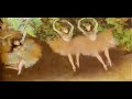 Berlioz, song of bliss. Berlioz, song of bliss.