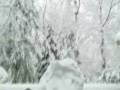 snowman1 snowman1