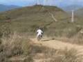 Dirt Bike VRM 140 