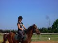 chachou et nicos