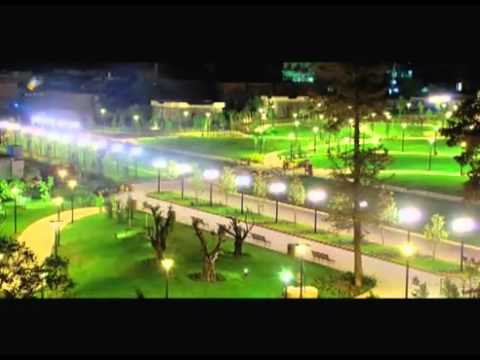 سليمانى - 6/2/2011.