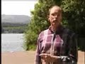 Boat Owners - How to Prevent Zebra Mussels Boat Owners - How to Prevent Zebra Mussels