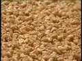 cevat üstün,onur gündüzer,bulgur,sivas,?ark??la,ortaköy cevat üstün,onur gündüzer,bulgur,sivas,?ark??la,ortaköy