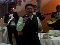 paloma querida  palomazo