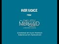 this is my own orchestral arrangement of 