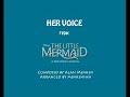 this is my own orchestral arrangement of 