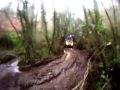 Ecoquadgalicia