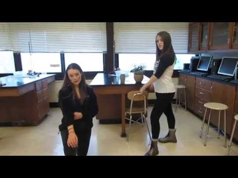 AP Biology Organelles (Yeah by Usher)