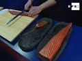Barcelona, 11 mar (EFE TV).- La ministra de Agricultura, Pesca y Alimentación, Elena Espinosa, ha presentado hoy la candidatura para que la dieta Mediterránea opte a ser patrimonio cultural inmaterial de la humanidad. El proyecto se ha presentado en la feria Alimentaria, donde continuan exponiéndose las principales novedades en cocina mediterránea, como el 