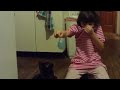 Cat busts balloon