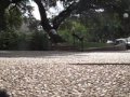 videos de First bmx vid, enjoy
