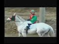 palio di buti- 
tutte le corse dei cavalli
del palio di buti
edizione 2006
tarzan