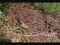 BRAZDADJ EXPLORER - Serbian Pyramid