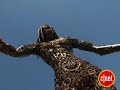CNET News.com: Burning Man stands up in San Francisco
