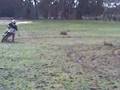 2005 RM250 Drifting