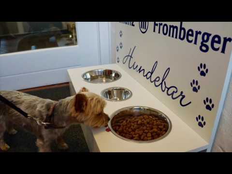 Tutorial Hundebar - Wir bauen eine Hundebar