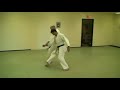 Aikido Yoshinkai Burnaby - Mustard Sensei