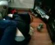 fun in shankhouse