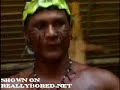 incredible ritual with hundreds of poisonous bullet ants
