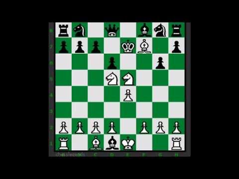 chess knight