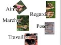 Aimer: A French Love Story (improved) Aimer: A French Love Story (improved)
