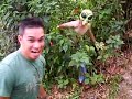 Alien Attack