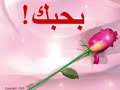 فى ليله حب من الف ليله وليلهغناء شيماء الشايب