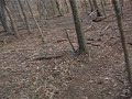 Short downhill freeride hometrail ,helmet cam