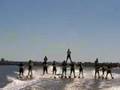 Show Ski WA 13 Person Pyramid