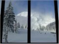 A brief tour of Mt. Rainier National Park ~ early ...